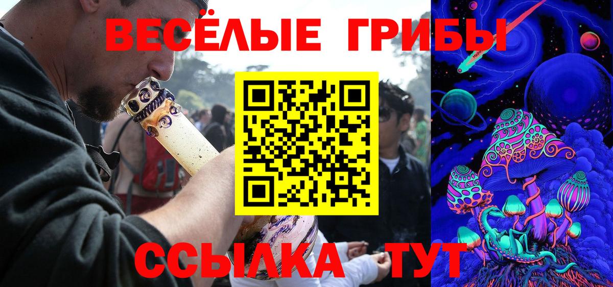 Галлюциногенные грибы MAGIC MUSHROOMS  Псилоцибиновые грибы мухоморы  как найти наркотики  Осинники  Вход с VPN 