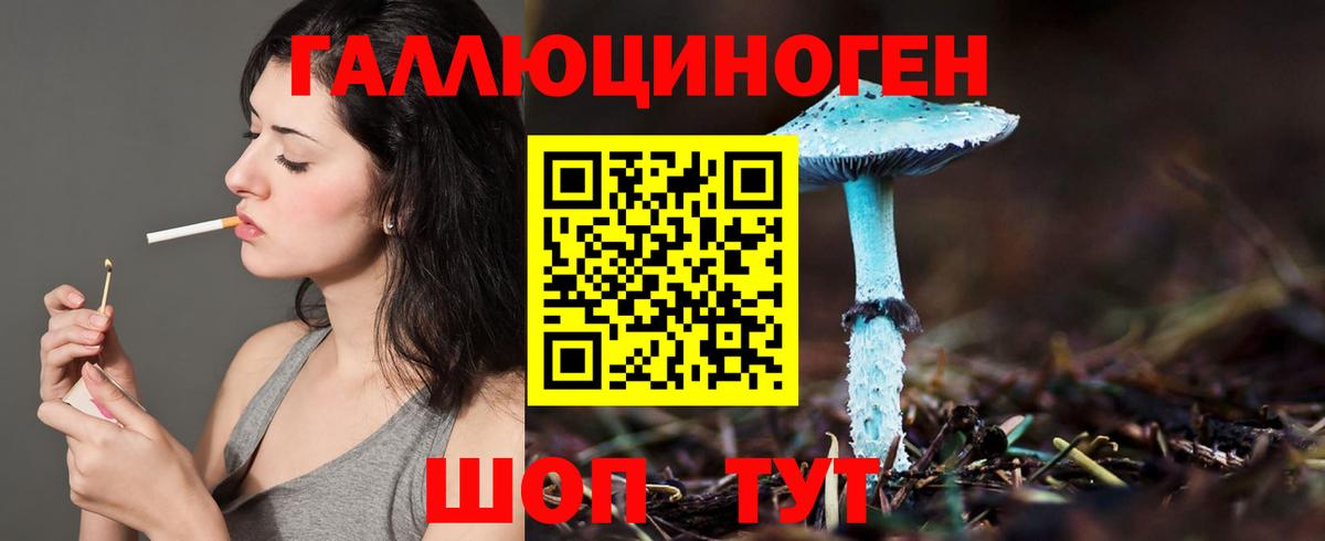 Галлюциногенные грибы Psilocybine cubensis Осинники